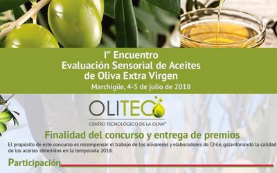 Primer Encuentro Evaluación Sensorial de Aceite de Oliva Extra Virgen