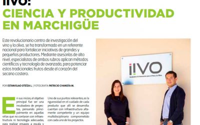 Reportaje IIVO en Revista Peperina